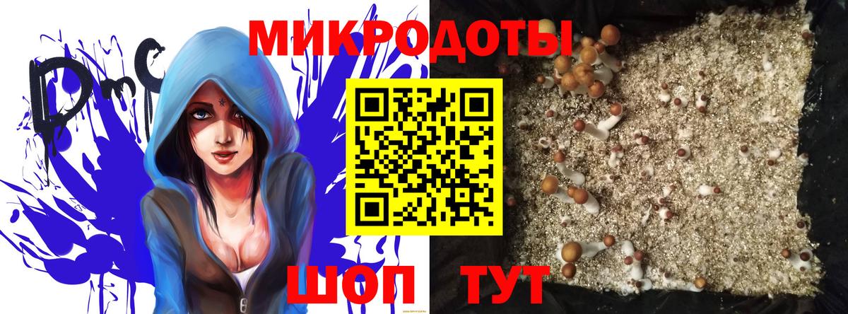 Галлюциногенные грибы Cubensis  Вход с VPN  Похвистнево 