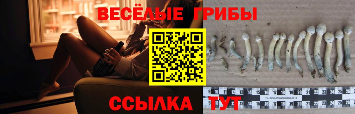 Псилоцибиновые грибы MAGIC MUSHROOMS Похвистнево