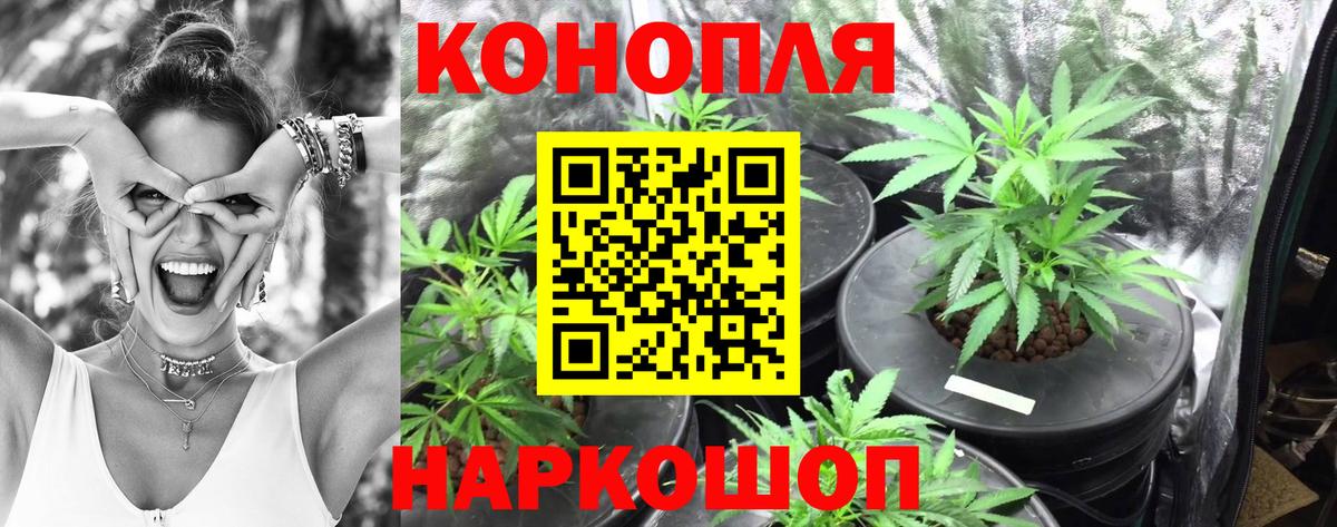 Похвистнево  Марихуана MAZAR  Вход с VPN  Бошки марихуана сатива  Бошки марихуана индика 
